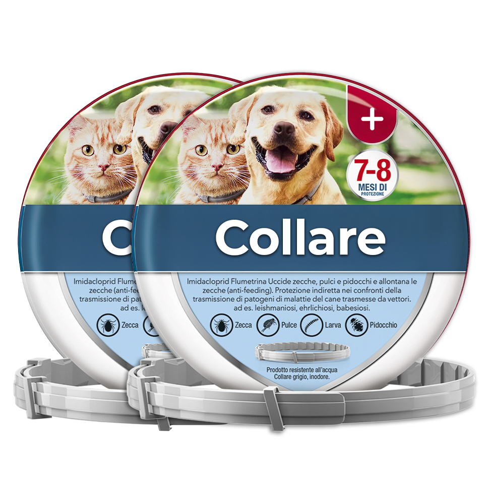 2 Collari antipulci e antizecche