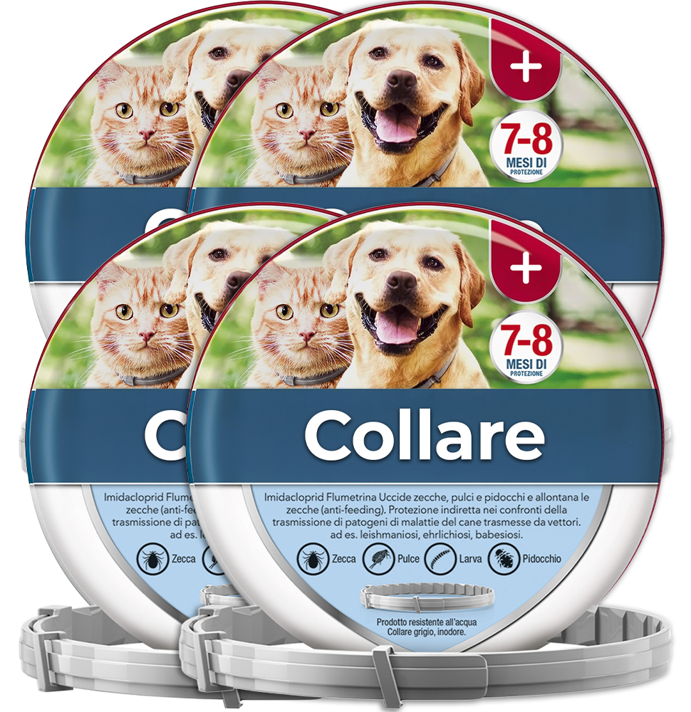 4 Collari antipulci e antizecche