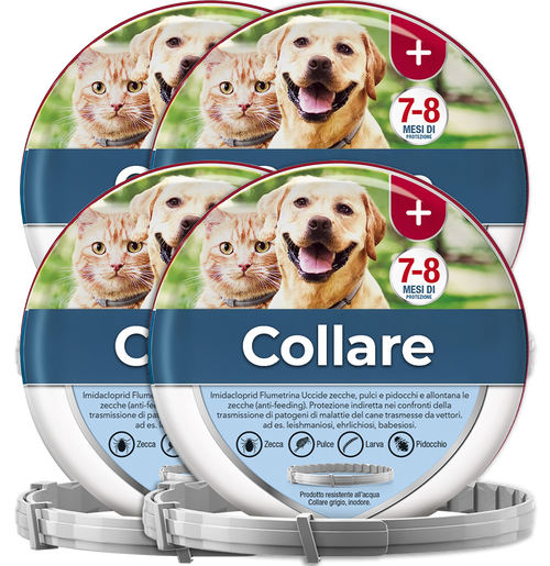 4 Collari antipulci e antizecche