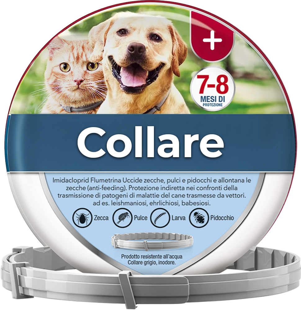 Collare antipulci e antizecche