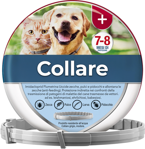 Collare antipulci e antizecche